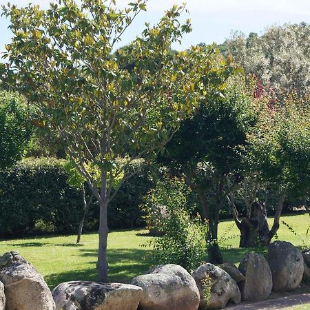 Les Jardins De Santa Giulia - Charmante Chambre D'Hote ポルトヴェッキオ エクステリア 写真