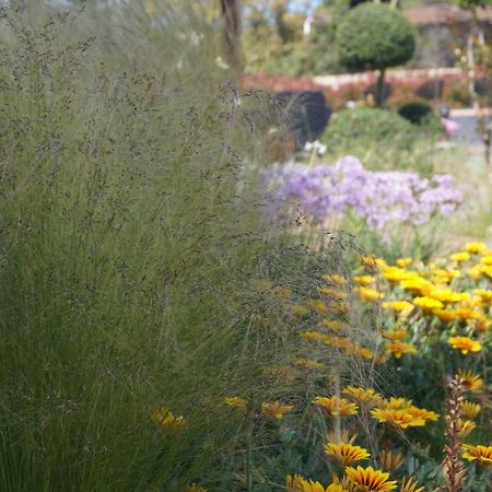 Les Jardins De Santa Giulia - Charmante Chambre D'Hote ポルトヴェッキオ エクステリア 写真