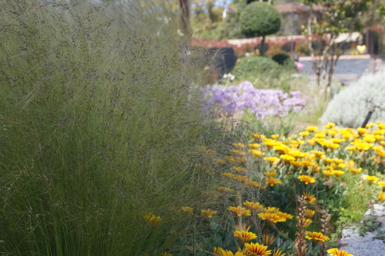 Les Jardins De Santa Giulia - Charmante Chambre D'Hote ポルトヴェッキオ エクステリア 写真